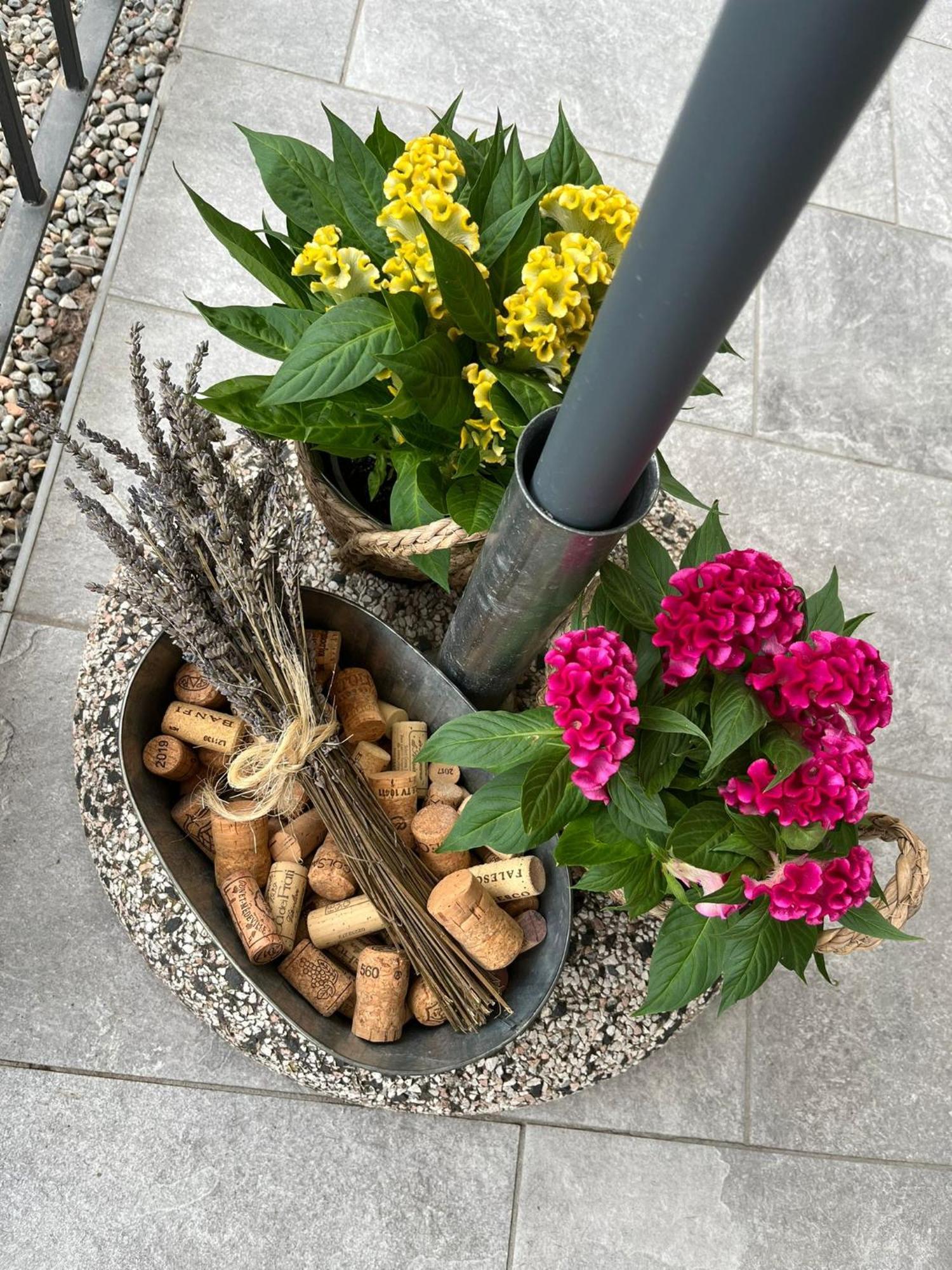 Sveva Haven Malpensa Bed & Breakfast Case Nuove  Exterior foto
